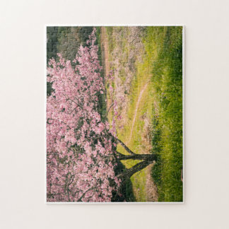 Quebra-cabeça Cherry blossoms blooming in the rural hill
