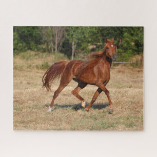 Quebra-cabeça Chestnut Arab Running Mane Tail Fluindo