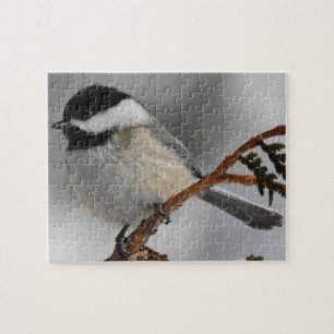 Quebra-cabeça Chickadee de Maine
