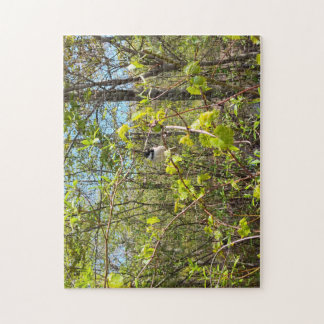 Quebra-cabeça Chickadee Puzzle