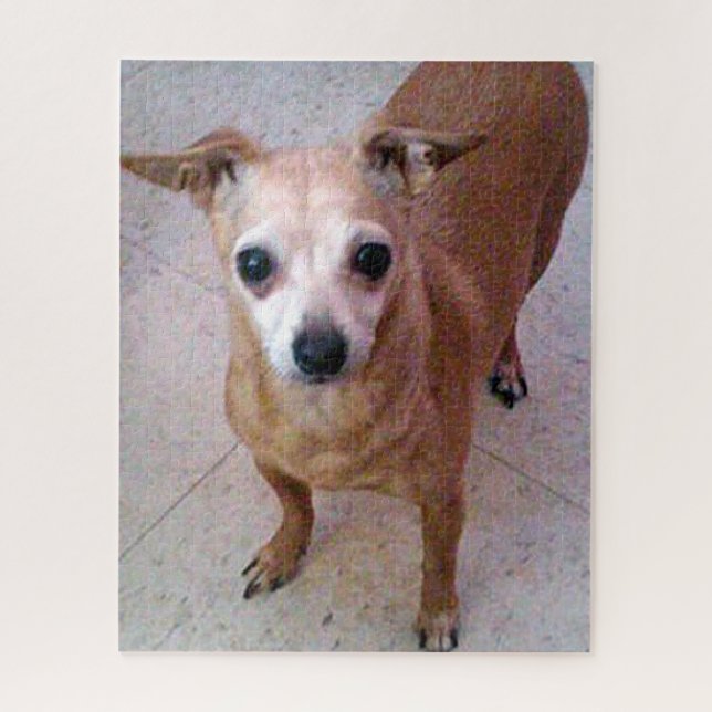 Quebra-cabeça Chico Chiwawa (Vertical)