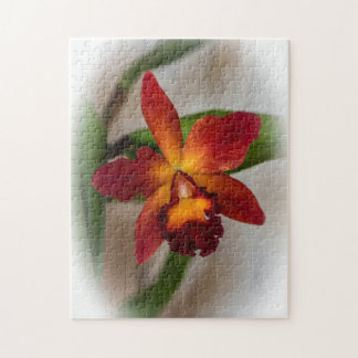 Quebra-cabeça Chief Sweet Orange Orchid Puzzle