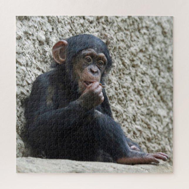 Quebra-cabeça Chimpanzé 013 (Vertical)