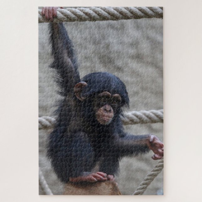 Quebra-cabeça Chimpanzé 017 (Vertical)