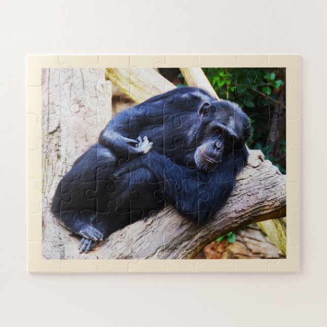 Quebra-cabeça Chimpanzee (Horizontal)
