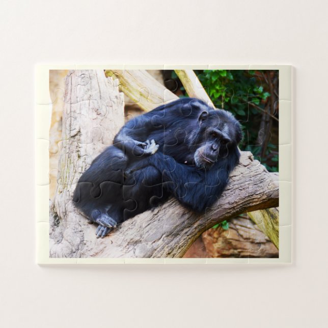 Quebra-cabeça Chimpanzee (Horizontal)