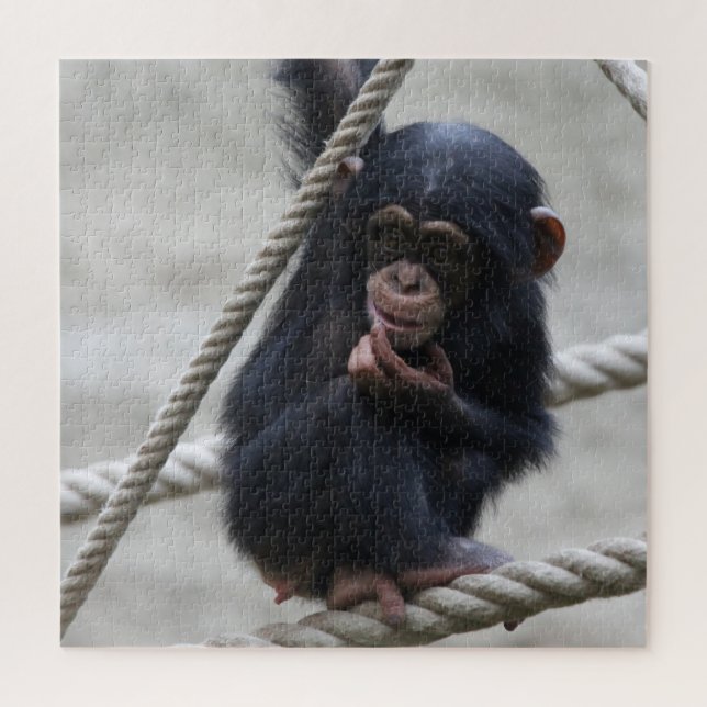 Quebra-cabeça Chimpanzee 030 (Vertical)