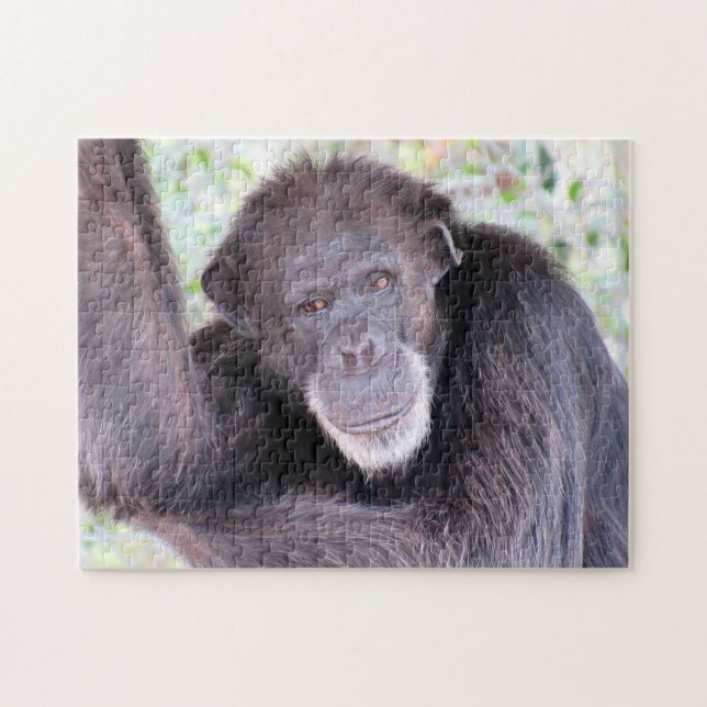 Quebra-cabeça Chimpanzee Puzzle (Horizontal)