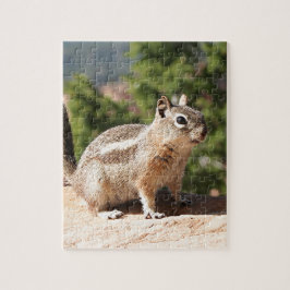 Quebra-cabeça Chipmunk no Bryce Canyon