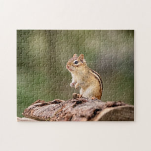 Quebra-cabeça Chipmunk nos Adirondacks