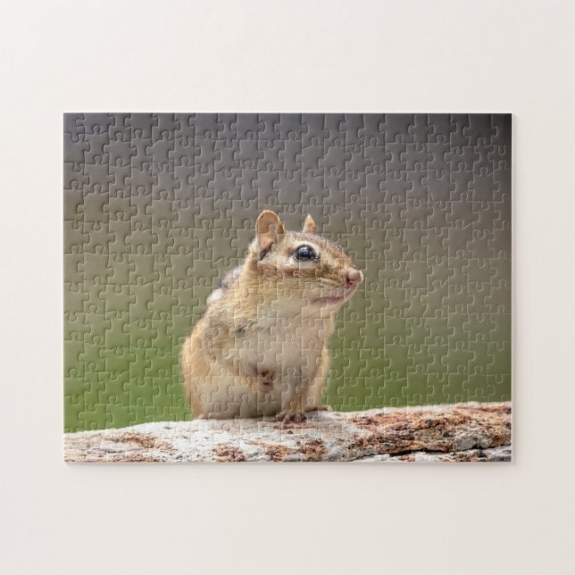 Quebra-cabeça Chipmunk nos Adirondacks (Horizontal)