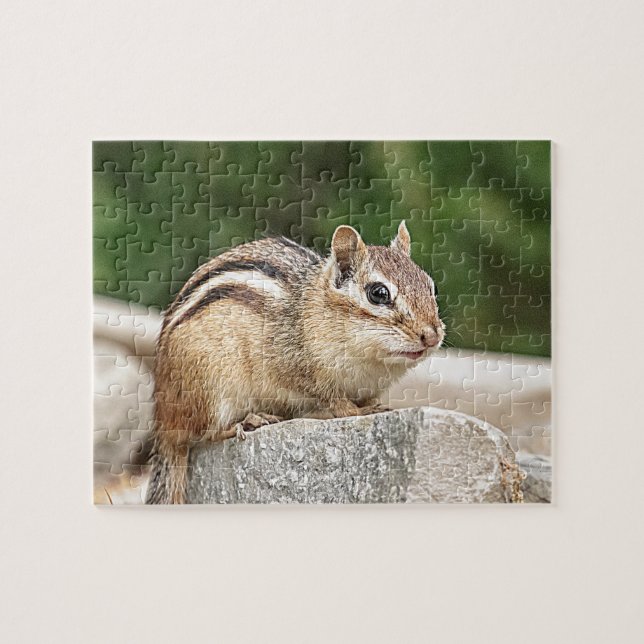 Quebra-cabeça Chipmunk numa pedra (Horizontal)