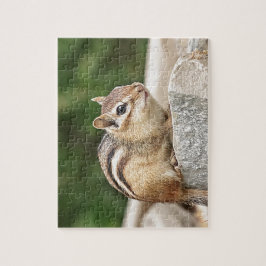 Quebra-cabeça Chipmunk numa pedra
