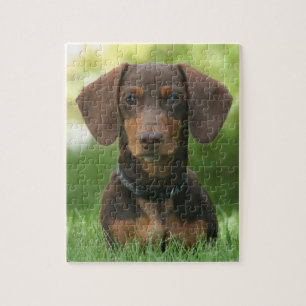 Quebra-cabeça Chocolate e bronzeado Dachshund