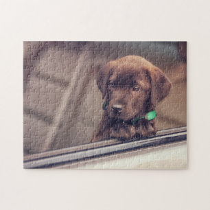 Quebra-cabeça Chocolate Labrador Pupido No Carro
