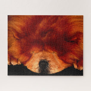 Quebra-cabeça Chow Chow Sleeping 16x20 520pc jpcn