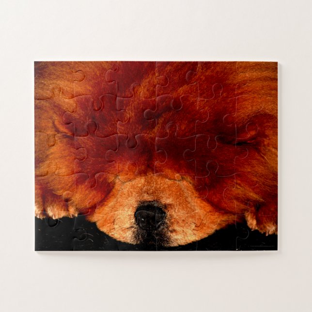 Quebra-cabeça Chow Sleeping Chow 11x14 jpcna 30pc (Horizontal)