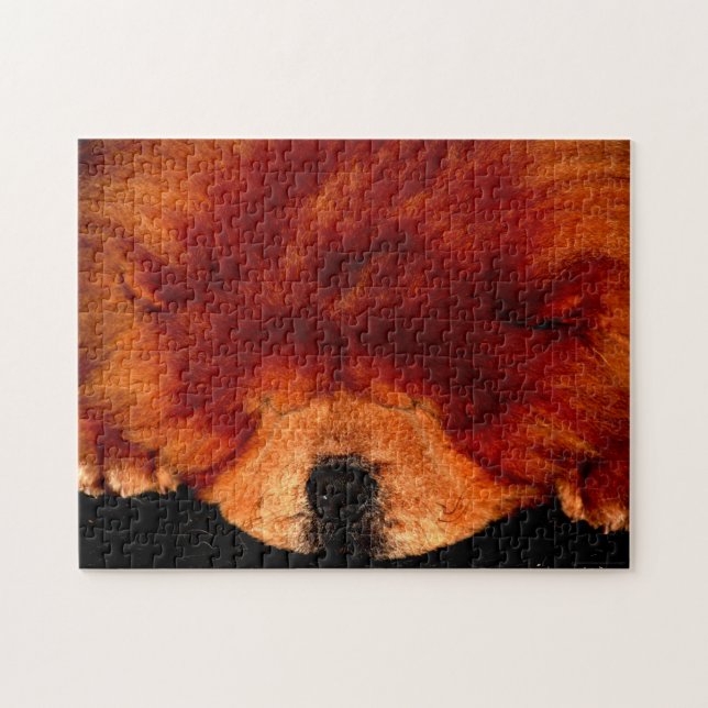 Quebra-cabeça Chow Sleeping Chow 11x14 jpcnm 252pc (Horizontal)