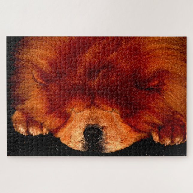 Quebra-cabeça Chow Sleeping Chow 20x30 1014pc jpa (Horizontal)