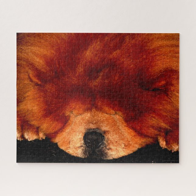 Quebra-cabeça Chow Sleeping Chow jpcnm 16x20 520pc (Horizontal)