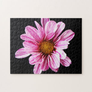 Quebra-cabeça Chrysanthemum Flower 11x14 252pc jpcn