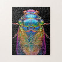 Cicada em cores iridescentes a preto