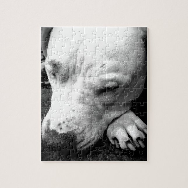 Quebra-cabeça cicatriz do harry potter cachorro pit bull branco (Vertical)