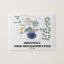 Ciclo viral da réplica da hepatite C