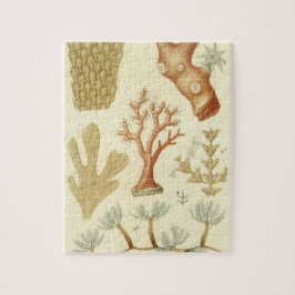 Quebra-cabeça Ciência — Biologia Do Livro De Têxteis — Animais D