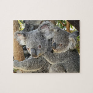 Quebra-cabeça Cinereus Queensland do Phascolarctos do Koala.