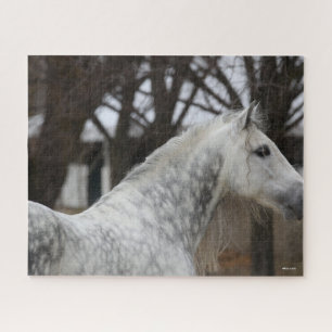 Quebra-cabeça Cinza Andalucian Stallion Captura