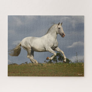 Quebra-cabeça Cinza Andalucian Stallion Correndo contra Sky