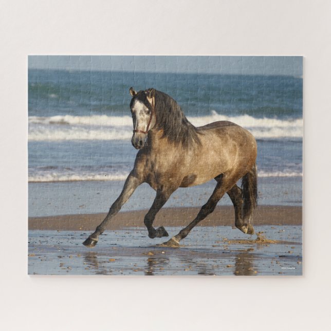 Quebra-cabeça Cinza Andaluciana Stallion Em Praia (Horizontal)