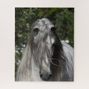 Quebra-cabeça Cinza Andaluciano Stallion Headshot Long Mane