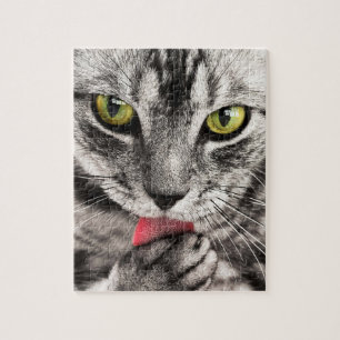 Quebra-cabeça Cinza de gato com olho amarelo