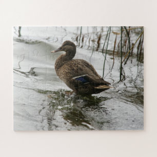 Quebra-cabeça Cinza se abaixa no lago escuro
