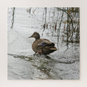 Quebra-cabeça Cinza se abaixa no lago escuro