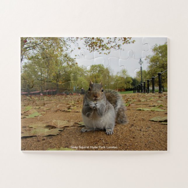Quebra-cabeça Cinza Squirel Hyde Park Londres (Horizontal)