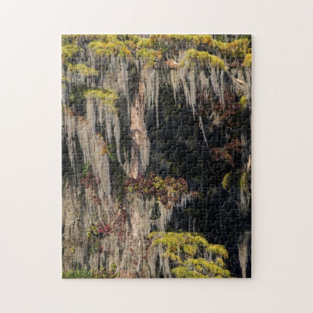 Quebra-cabeça Cipreste-de-baldio em Pântano Alagado (Vertical)