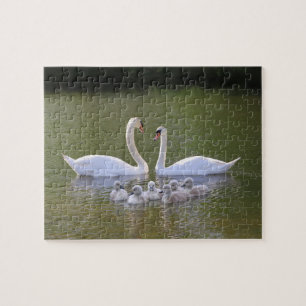 Quebra-cabeça Cisne e cygnets