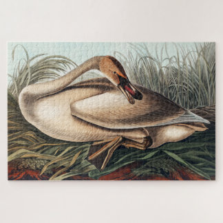 Quebra-cabeça Cisne Trombeteiro por John James Audubon