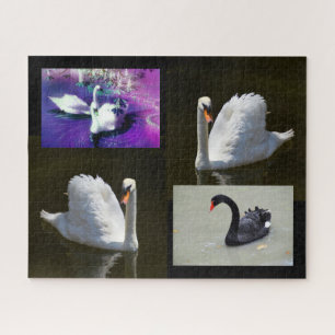 Quebra-cabeça Cisnes