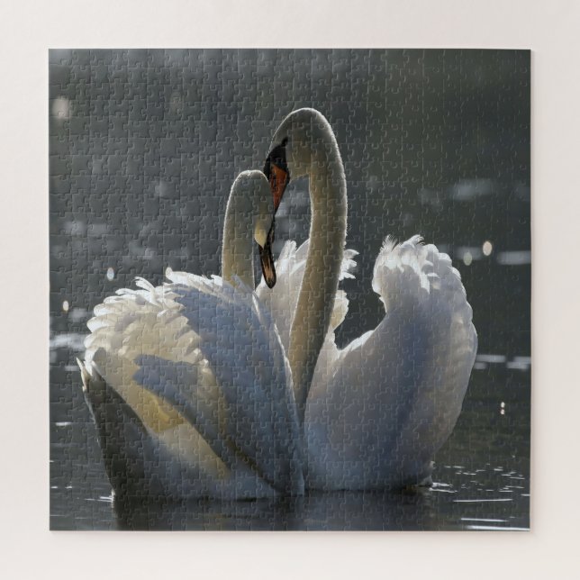 Quebra-cabeça Cisnes Apaixonados (Vertical)