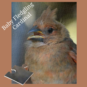 Quebra-cabeça Close de Baby Cardinal Bird