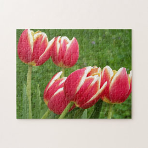 Quebra-cabeça Close up das tulipas