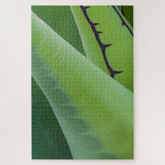 Quebra-cabeça Close Up De Agave (Vertical)