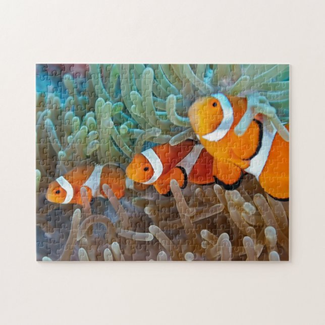 Quebra-cabeça Clownfish (Horizontal)