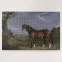 Clydesdale Stallion (Thoroughbred Horse) (Animal)