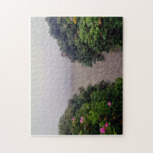 Coastal Roses Leading to the Shore