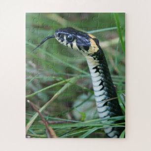 Quebra-cabeça Cobra